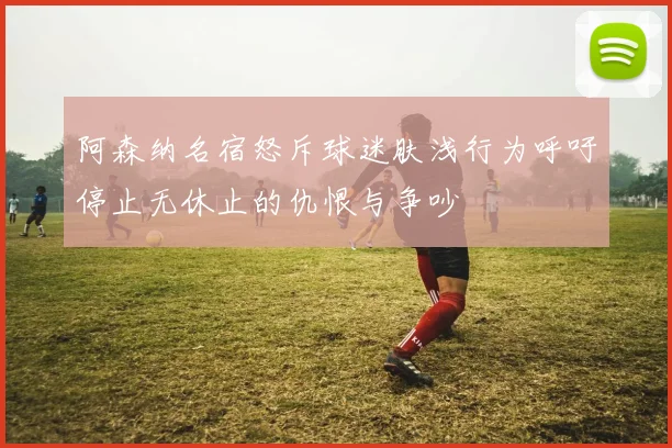 阿森纳名宿怒斥球迷肤浅行为呼吁停止无休止的仇恨与争吵