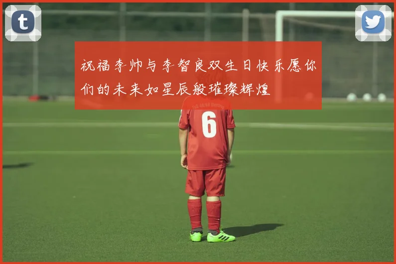 祝福李帅与李智良双生日快乐愿你们的未来如星辰般璀璨辉煌
