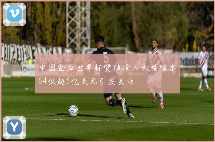 中国企业世界杯赞助投入大幅缩水64仅超5亿美元引发关注